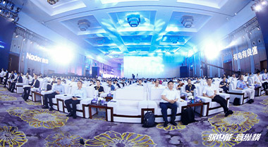 Smart electrical，New future | 2021 Summit Meeting of Nader with Customers Connection, Set Sail